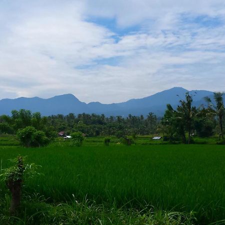 Pondok Manis Homestay Singaraja Buitenkant foto