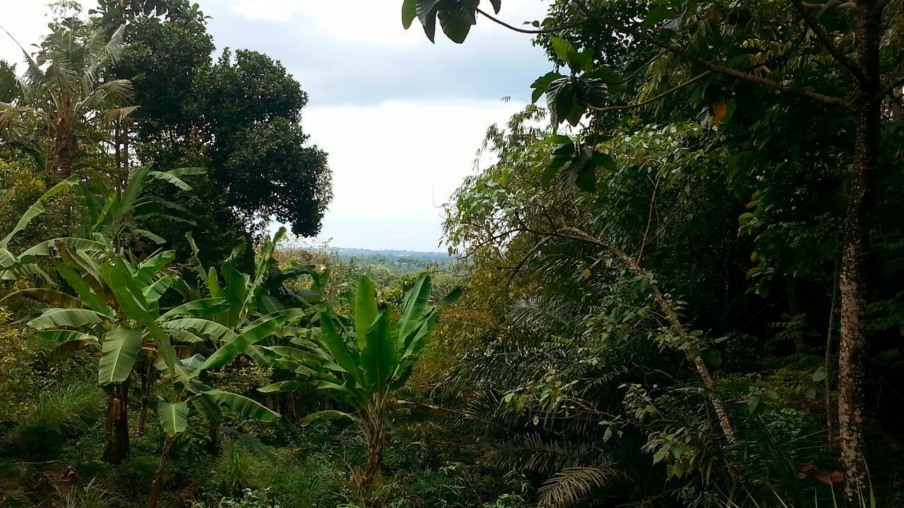 Pondok Manis Homestay Singaraja Buitenkant foto