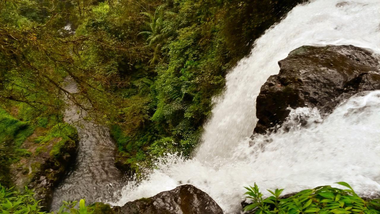 Pondok Manis Homestay Singaraja Buitenkant foto