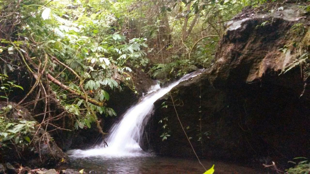 Pondok Manis Homestay Singaraja Buitenkant foto
